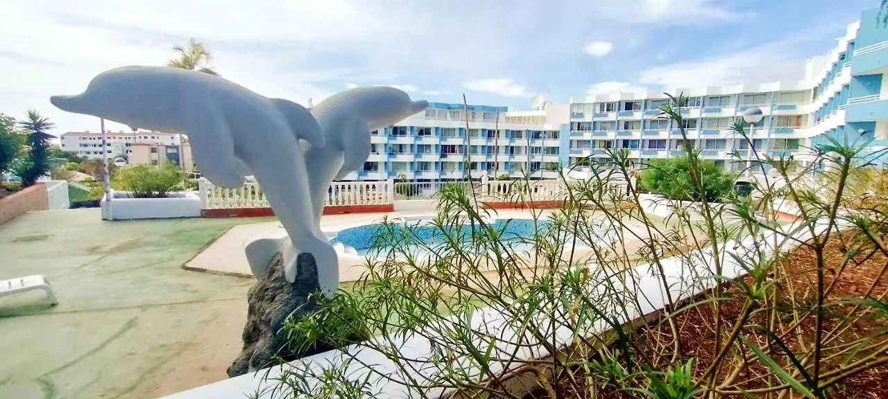 Tropical Green Park - Piscina - Parking - Edificio La Corbeta Spain